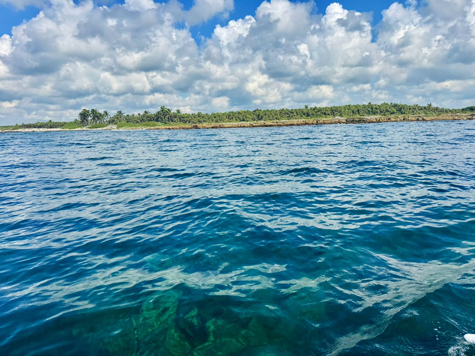 Clear blue water over the reef, with the palm-lined coast and a sky of cumulus clouds beyond