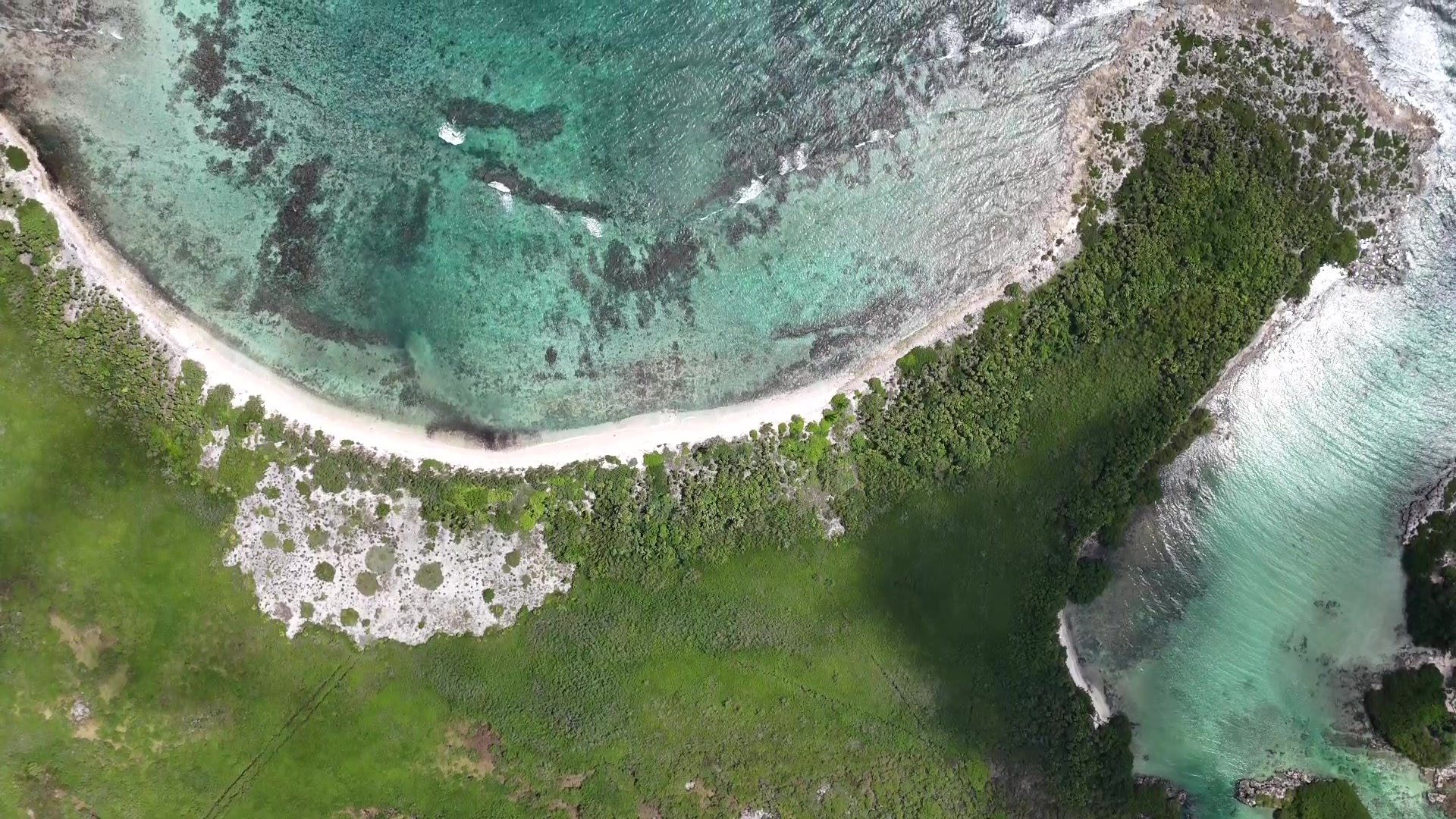 Aerial view of the curved white-sand beach and reef on the Akumal coast